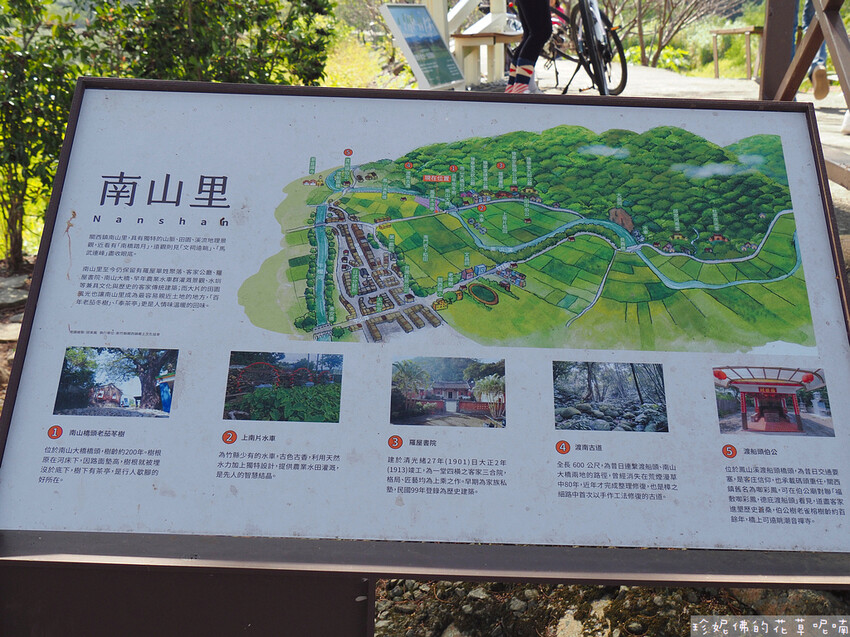 【新竹縣關西鎮】2023關西仙草花生活節「仙草奇緣」|仙草一