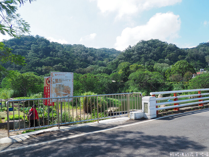 【新竹縣關西鎮】2023關西仙草花生活節「仙草奇緣」|仙草一