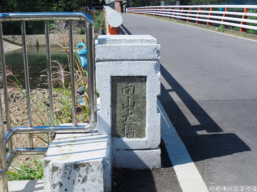 【新竹縣關西鎮】2023關西仙草花生活節「仙草奇緣」|仙草一