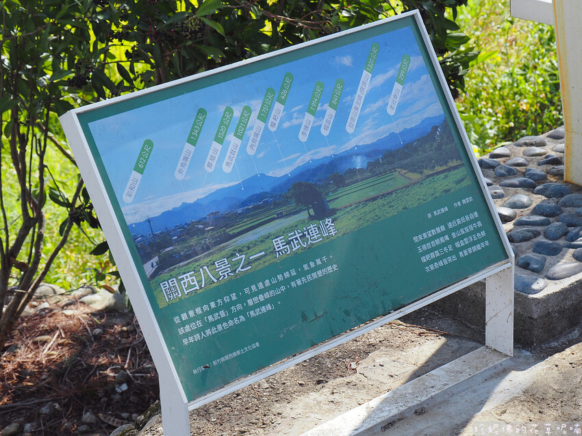 【新竹縣關西鎮】2023關西仙草花生活節「仙草奇緣」|仙草一