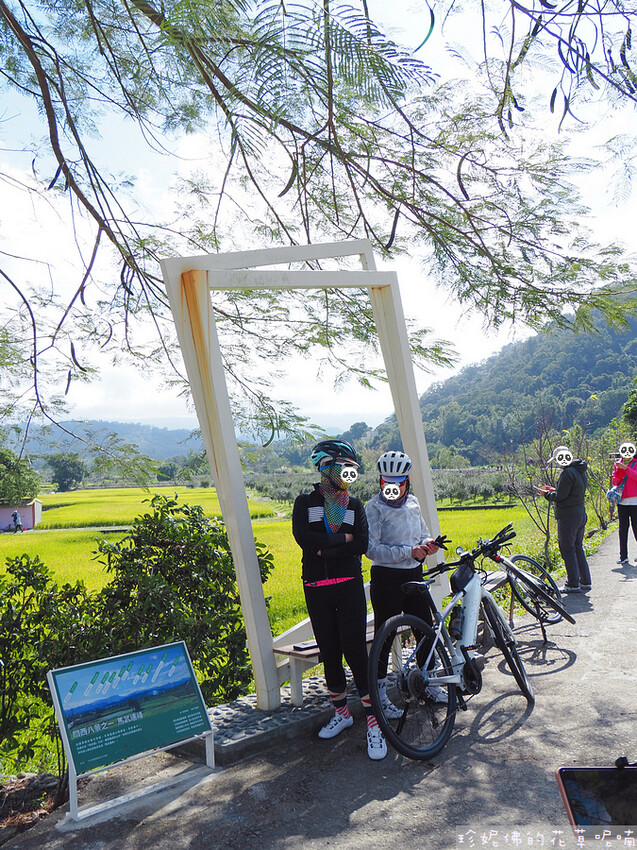 【新竹縣關西鎮】2023關西仙草花生活節「仙草奇緣」|仙草一