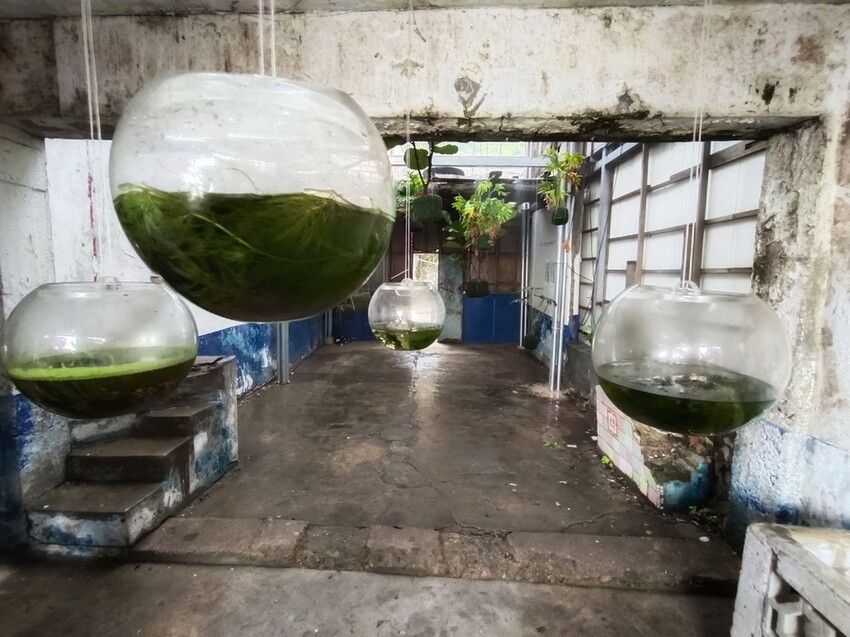 2023第二屆馬祖國際藝術島「生紅過夏」隆重登場｜9個策展計