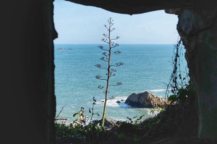 2023第二屆馬祖國際藝術島「生紅過夏」隆重登場｜9個策展計