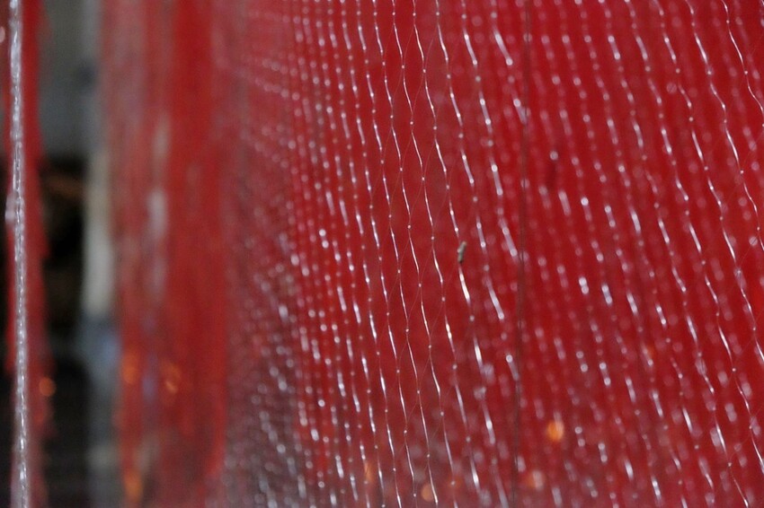 2023第二屆馬祖國際藝術島「生紅過夏」隆重登場｜9個策展計