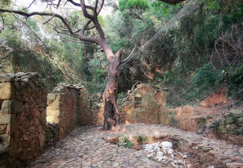 2023第二屆馬祖國際藝術島「生紅過夏」隆重登場｜9個策展計