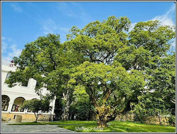 新北淡水 ‧ 巫登益美術館