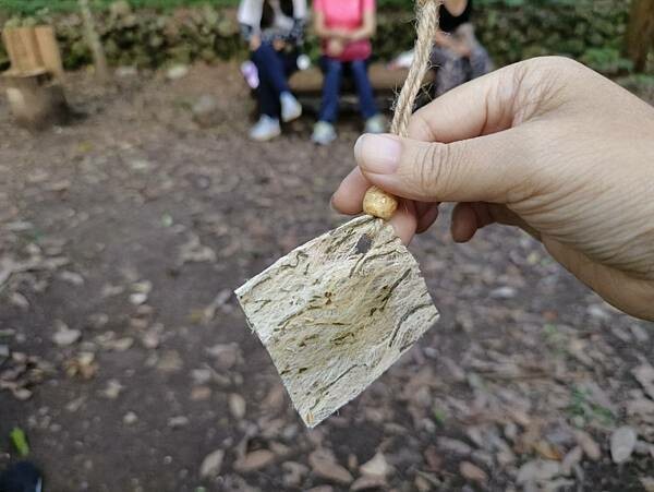 松鶴部落-森林五感體驗,享受敲樹皮、精油噴霧DIY及山林饗宴