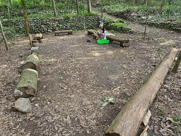 松鶴部落-森林五感體驗,享受敲樹皮、精油噴霧DIY及山林饗宴