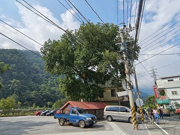 松鶴部落-森林五感體驗,享受敲樹皮、精油噴霧DIY及山林饗宴
