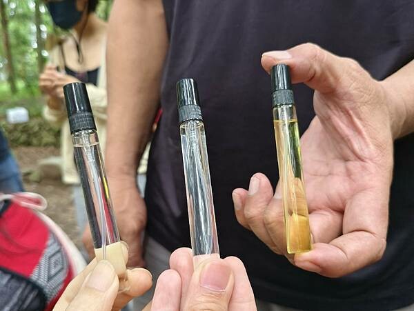 松鶴部落-森林五感體驗,享受敲樹皮、精油噴霧DIY及山林饗宴