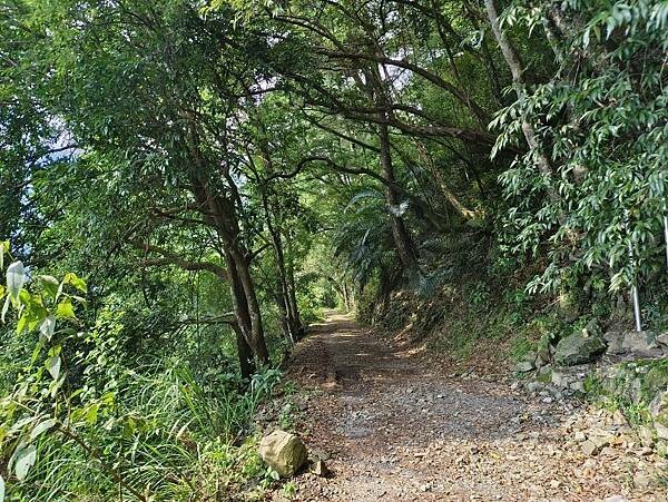 松鶴部落-森林五感體驗,享受敲樹皮、精油噴霧DIY及山林饗宴