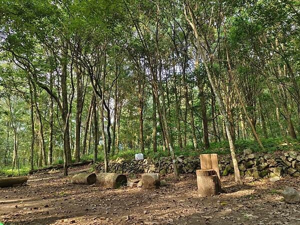 松鶴部落-森林五感體驗,享受敲樹皮、精油噴霧DIY及山林饗宴