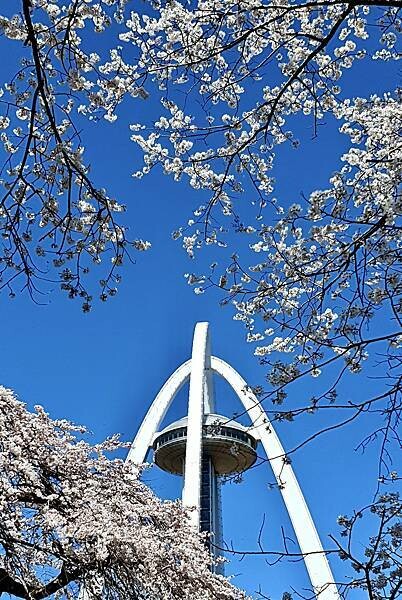 2023日本賞櫻自由行~138タワーパーク