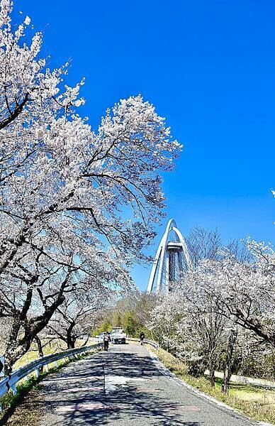 2023日本賞櫻自由行~138タワーパーク