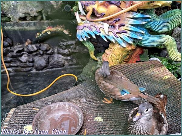 《》『』 Ivenの窩食在分享 Ivenの窩-分享生命