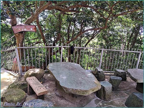 《》『』 Ivenの窩食在分享 Ivenの窩-分享生命