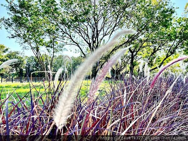 {台中景點}福田水資源回收中心兒童遊樂場/台中免費景點/台中 {台中景點}福田水資源回收中心兒童遊樂場/台中免費景點/台中
