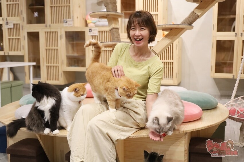 【台南桌遊】呼嚕基地貓咪桌遊咖啡廳！隱藏在商辦大樓的貓咪桌遊咖啡廳，免費自助吧可無限享用~ - 熱血玩台南。跳躍新世界