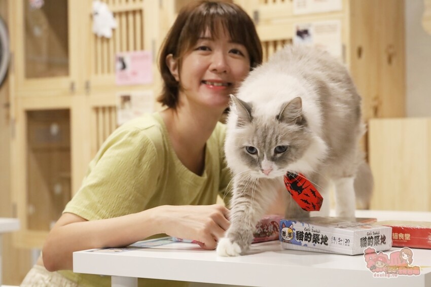 【台南桌遊】呼嚕基地貓咪桌遊咖啡廳！隱藏在商辦大樓的貓咪桌遊咖啡廳，免費自助吧可無限享用~ - 熱血玩台南。跳躍新世界