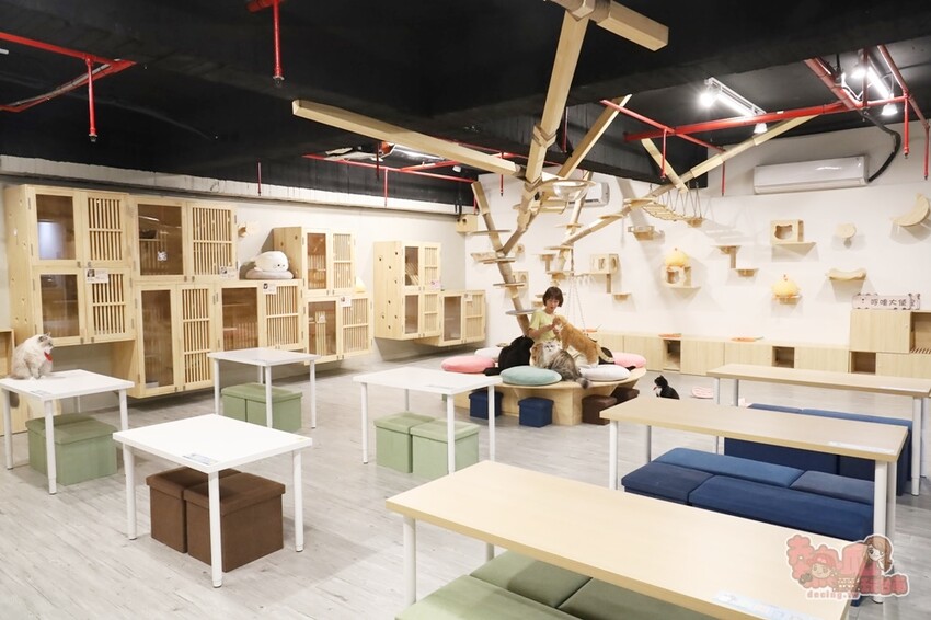 【台南桌遊】呼嚕基地貓咪桌遊咖啡廳！隱藏在商辦大樓的貓咪桌遊咖啡廳，免費自助吧可無限享用~ - 熱血玩台南。跳躍新世界