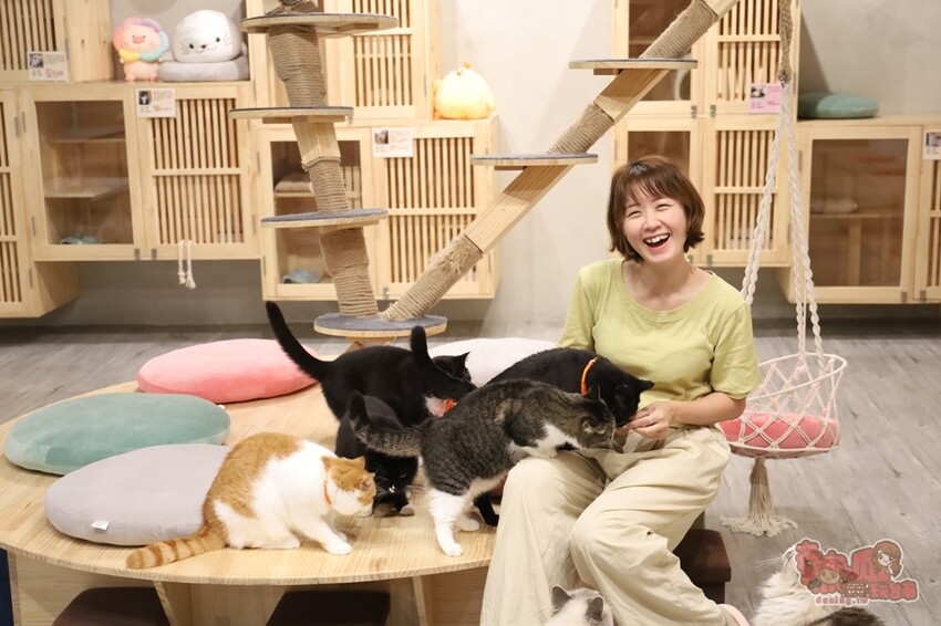 【台南桌遊】呼嚕基地貓咪桌遊咖啡廳！隱藏在商辦大樓的貓咪桌遊咖啡廳，免費自助吧可無限享用~ - 熱血玩台南。跳躍新世界