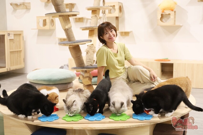 【台南桌遊】呼嚕基地貓咪桌遊咖啡廳！隱藏在商辦大樓的貓咪桌遊咖啡廳，免費自助吧可無限享用~ - 熱血玩台南。跳躍新世界