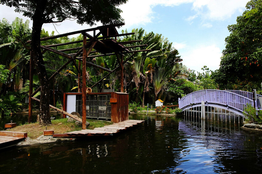 高雄親子景點寵物友善景觀餐廳。喝咖啡看飛機、可愛動物區互動、 高雄親子景點寵物友善景觀餐廳。喝咖啡看飛機、可愛動物區互動、