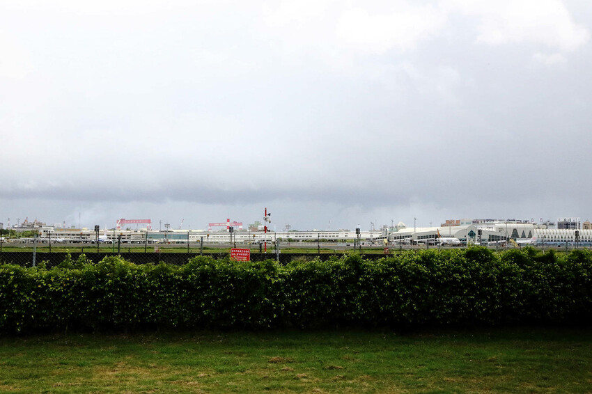 高雄親子景點寵物友善景觀餐廳。喝咖啡看飛機、可愛動物區互動、 高雄親子景點寵物友善景觀餐廳。喝咖啡看飛機、可愛動物區互動、