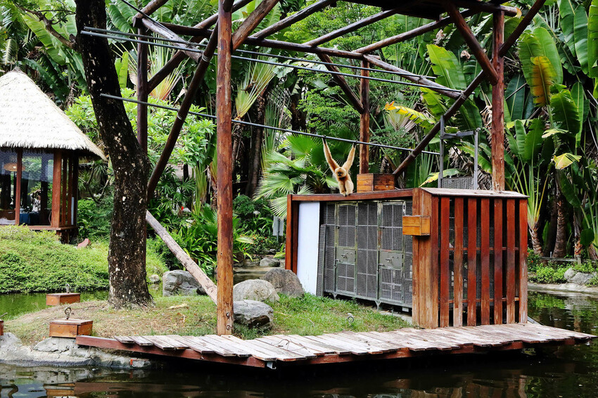 高雄親子景點寵物友善景觀餐廳。喝咖啡看飛機、可愛動物區互動、 高雄親子景點寵物友善景觀餐廳。喝咖啡看飛機、可愛動物區互動、