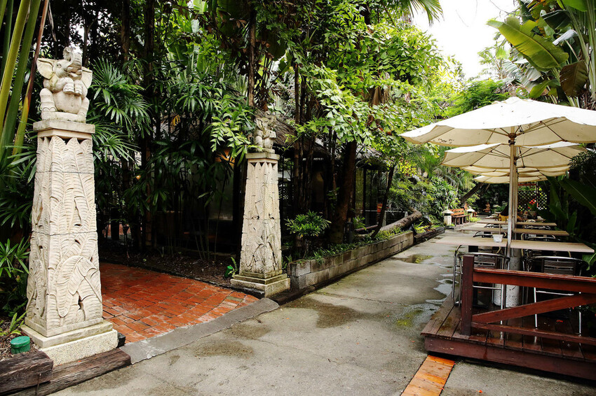 高雄親子景點寵物友善景觀餐廳。喝咖啡看飛機、可愛動物區互動、 高雄親子景點寵物友善景觀餐廳。喝咖啡看飛機、可愛動物區互動、