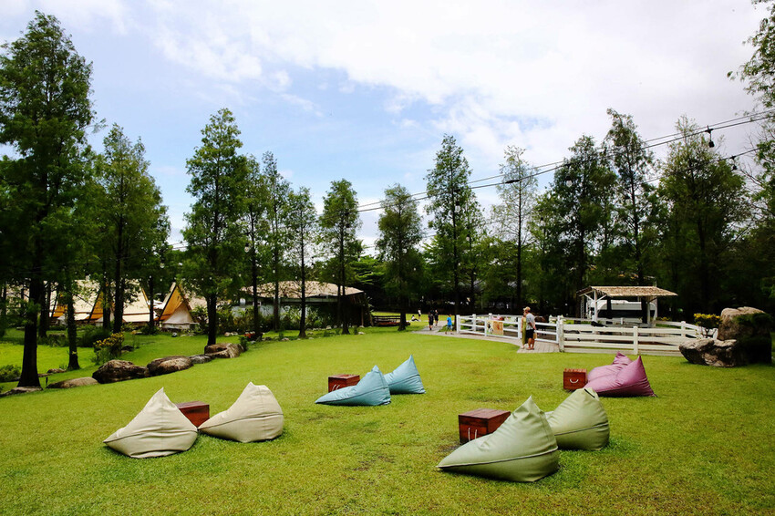 高雄親子景點寵物友善景觀餐廳。喝咖啡看飛機、可愛動物區互動、 高雄親子景點寵物友善景觀餐廳。喝咖啡看飛機、可愛動物區互動、