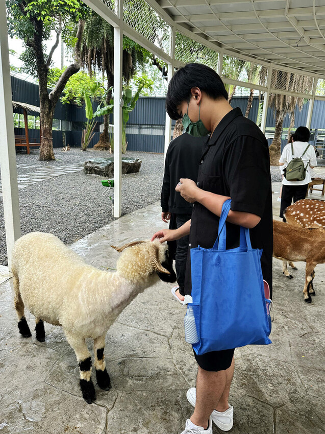 高雄親子景點寵物友善景觀餐廳。喝咖啡看飛機、可愛動物區互動、 高雄親子景點寵物友善景觀餐廳。喝咖啡看飛機、可愛動物區互動、