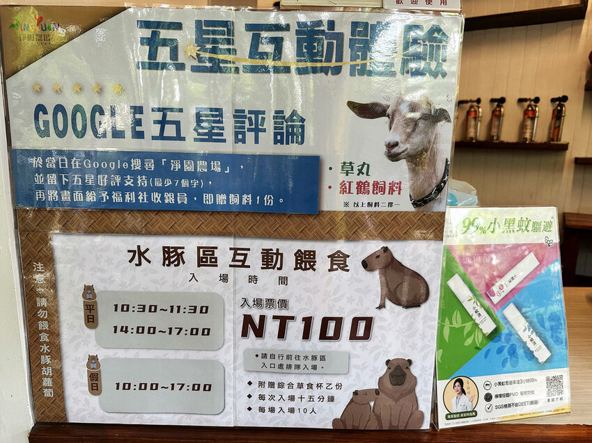 高雄親子景點寵物友善景觀餐廳。喝咖啡看飛機、可愛動物區互動、 高雄親子景點寵物友善景觀餐廳。喝咖啡看飛機、可愛動物區互動、