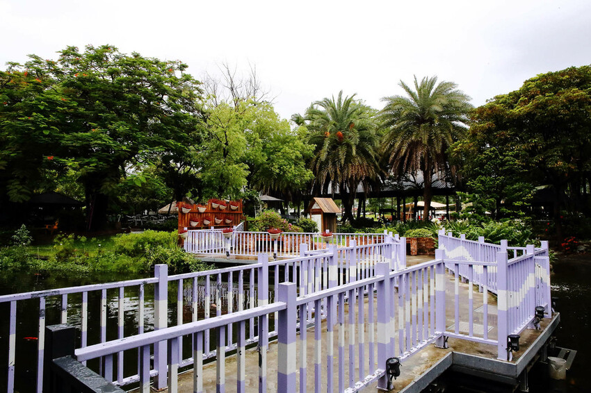 高雄親子景點寵物友善景觀餐廳。喝咖啡看飛機、可愛動物區互動、 高雄親子景點寵物友善景觀餐廳。喝咖啡看飛機、可愛動物區互動、