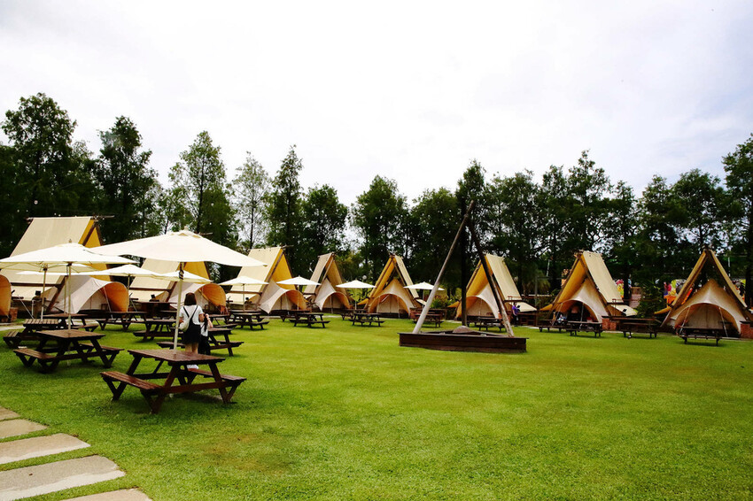 高雄親子景點寵物友善景觀餐廳。喝咖啡看飛機、可愛動物區互動、 高雄親子景點寵物友善景觀餐廳。喝咖啡看飛機、可愛動物區互動、