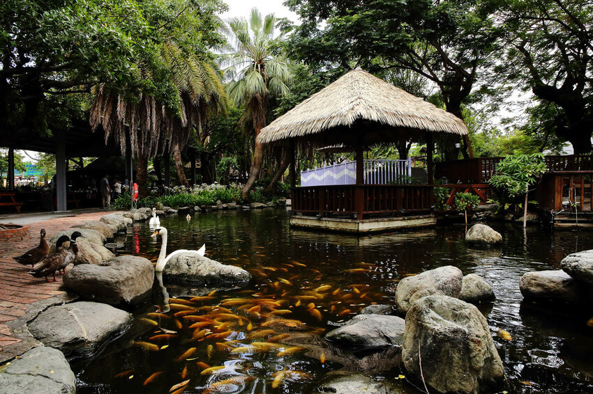 高雄親子景點寵物友善景觀餐廳。喝咖啡看飛機、可愛動物區互動、 高雄親子景點寵物友善景觀餐廳。喝咖啡看飛機、可愛動物區互動、