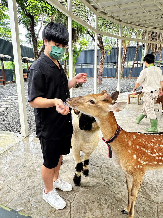 高雄親子景點寵物友善景觀餐廳。喝咖啡看飛機、可愛動物區互動、 高雄親子景點寵物友善景觀餐廳。喝咖啡看飛機、可愛動物區互動、
