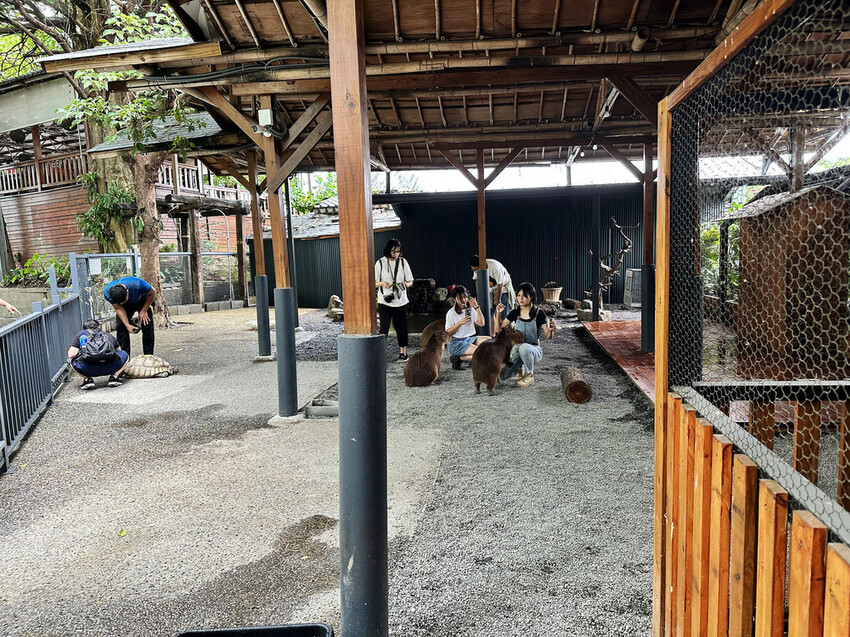 高雄親子景點寵物友善景觀餐廳。喝咖啡看飛機、可愛動物區互動、 高雄親子景點寵物友善景觀餐廳。喝咖啡看飛機、可愛動物區互動、