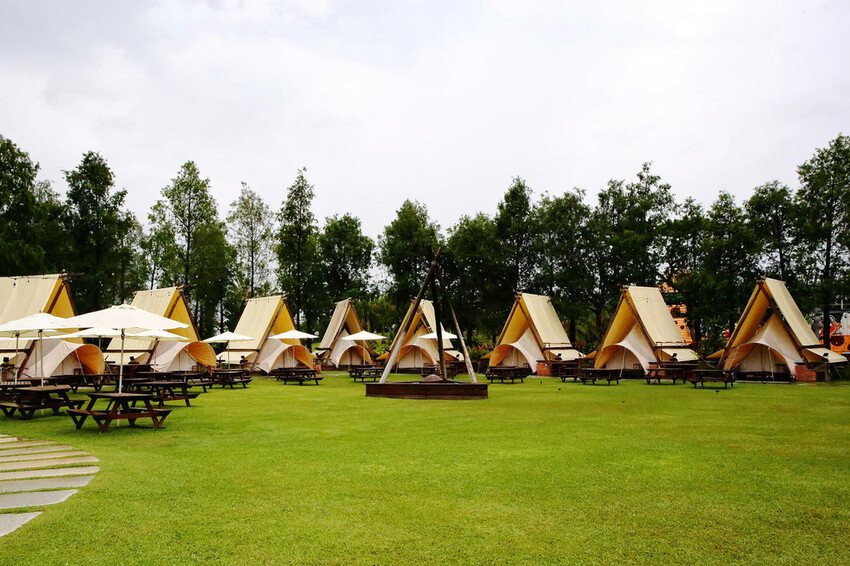 高雄親子景點寵物友善景觀餐廳。喝咖啡看飛機、可愛動物區互動、 高雄親子景點寵物友善景觀餐廳。喝咖啡看飛機、可愛動物區互動、