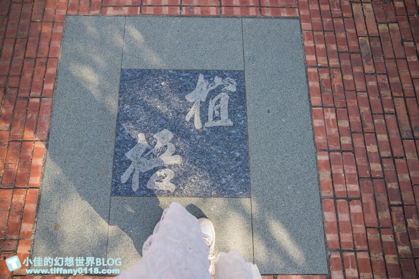 [雲林景點]期間限定「雲林厚工學」展、鐵花窗網美必拍、微醺農場超好吃小黃瓜/帶你看見不一樣的雲林之美