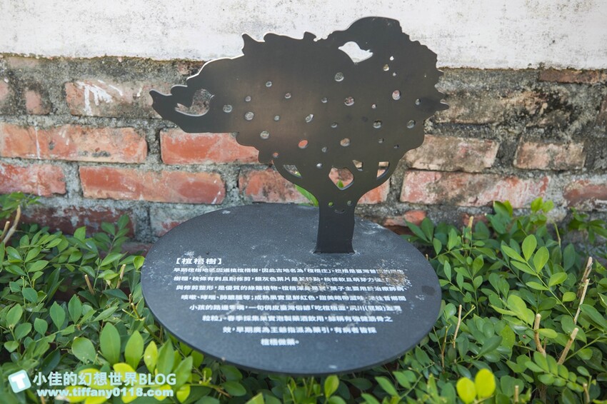 [雲林景點]期間限定「雲林厚工學」展、鐵花窗網美必拍、微醺農場超好吃小黃瓜/帶你看見不一樣的雲林之美