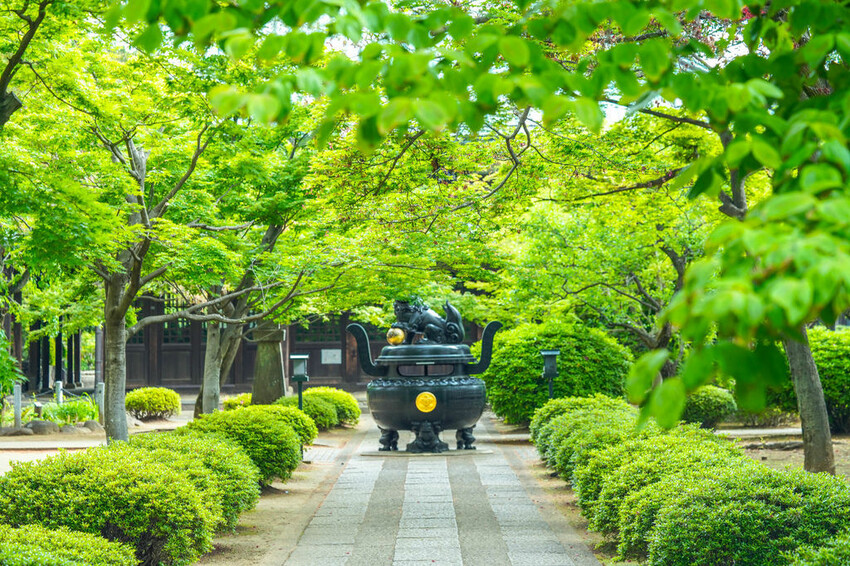 豪德寺 東京景點 日本三大招財貓神社之一 帶隻貓兒回家吧！