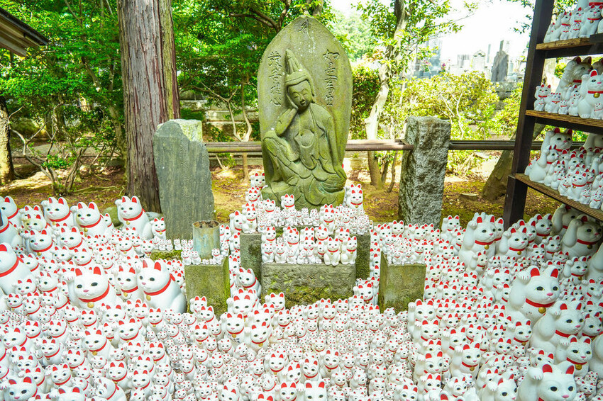 豪德寺 東京景點 日本三大招財貓神社之一 帶隻貓兒回家吧！
