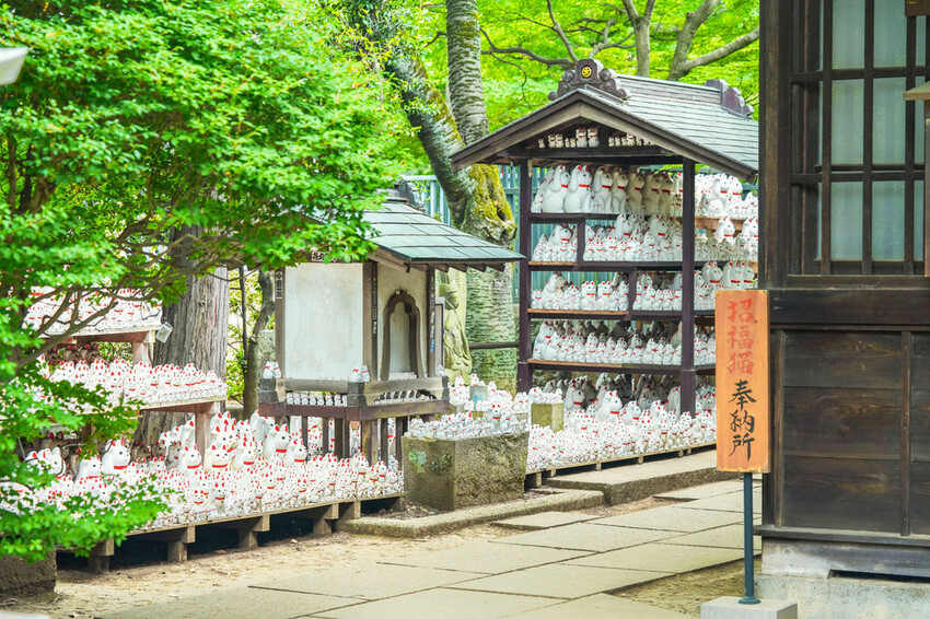 豪德寺 東京景點 日本三大招財貓神社之一 帶隻貓兒回家吧！