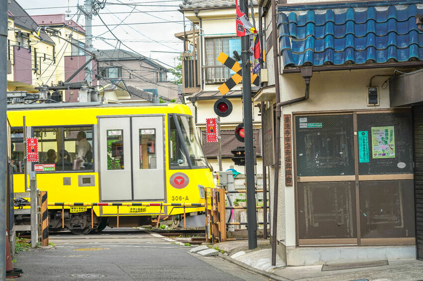 豪德寺 東京景點 日本三大招財貓神社之一 帶隻貓兒回家吧！