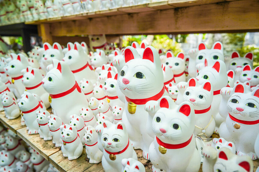 豪德寺 東京景點 日本三大招財貓神社之一 帶隻貓兒回家吧！