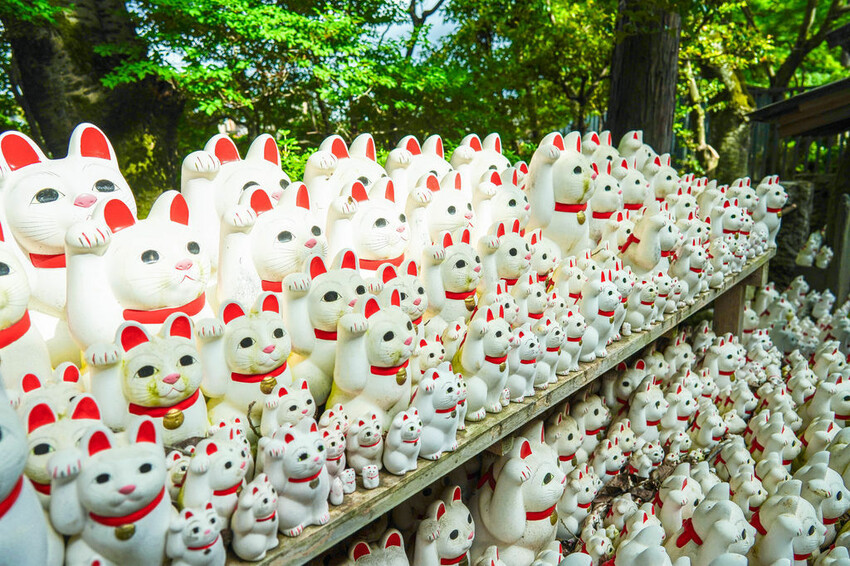 豪德寺 東京景點 日本三大招財貓神社之一 帶隻貓兒回家吧！