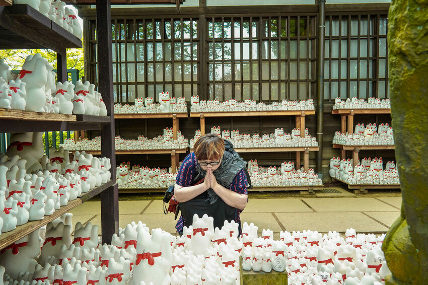 豪德寺 東京景點 日本三大招財貓神社之一 帶隻貓兒回家吧！