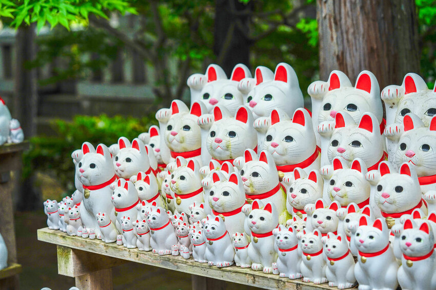 豪德寺 東京景點 日本三大招財貓神社之一 帶隻貓兒回家吧！