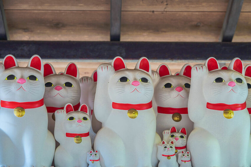 豪德寺 東京景點 日本三大招財貓神社之一 帶隻貓兒回家吧！